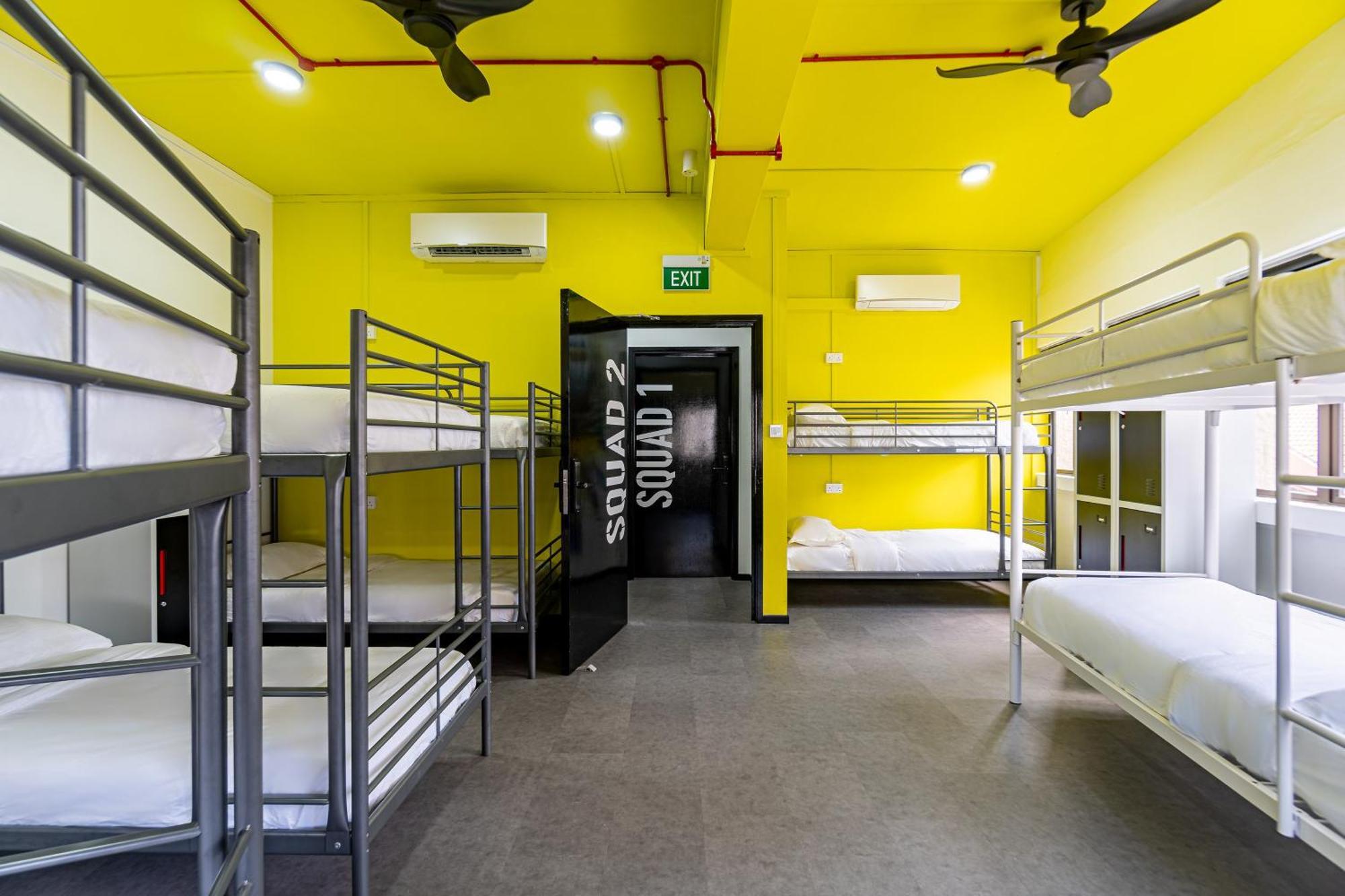Single Bed in 10-Bed Dormitory Room,1567147544:JPEG